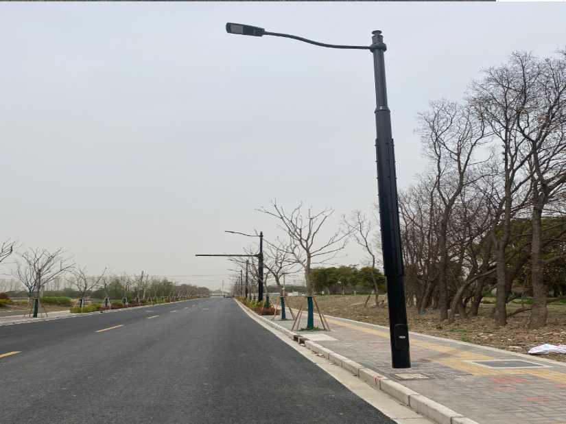 龙岗区上海综合杆 太阳能路灯工程